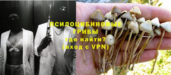 гидра Покачи