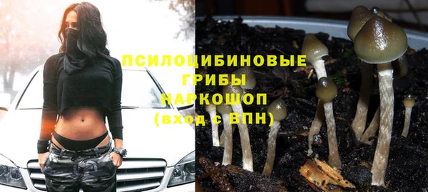 шишки Алексеевка