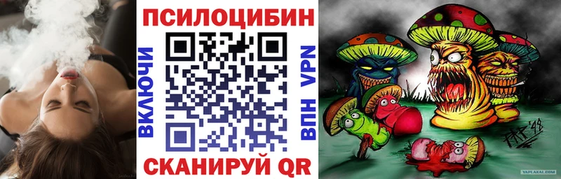 Галлюциногенные грибы MAGIC MUSHROOMS  сколько стоит  Катайск 